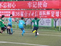 贝西克塔斯VS马赛直播_贝西克塔斯VS马赛免费(无插件)高清直播视频_贝西克塔斯VS马赛直播秒开观看