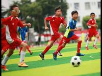 巴西队VS澳大利亚队直播_巴西队VS澳大利亚队无插件高清极速直播_巴西队VS澳大利亚队直播精彩时刻